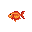Small Goldfish