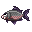 Big Piranha